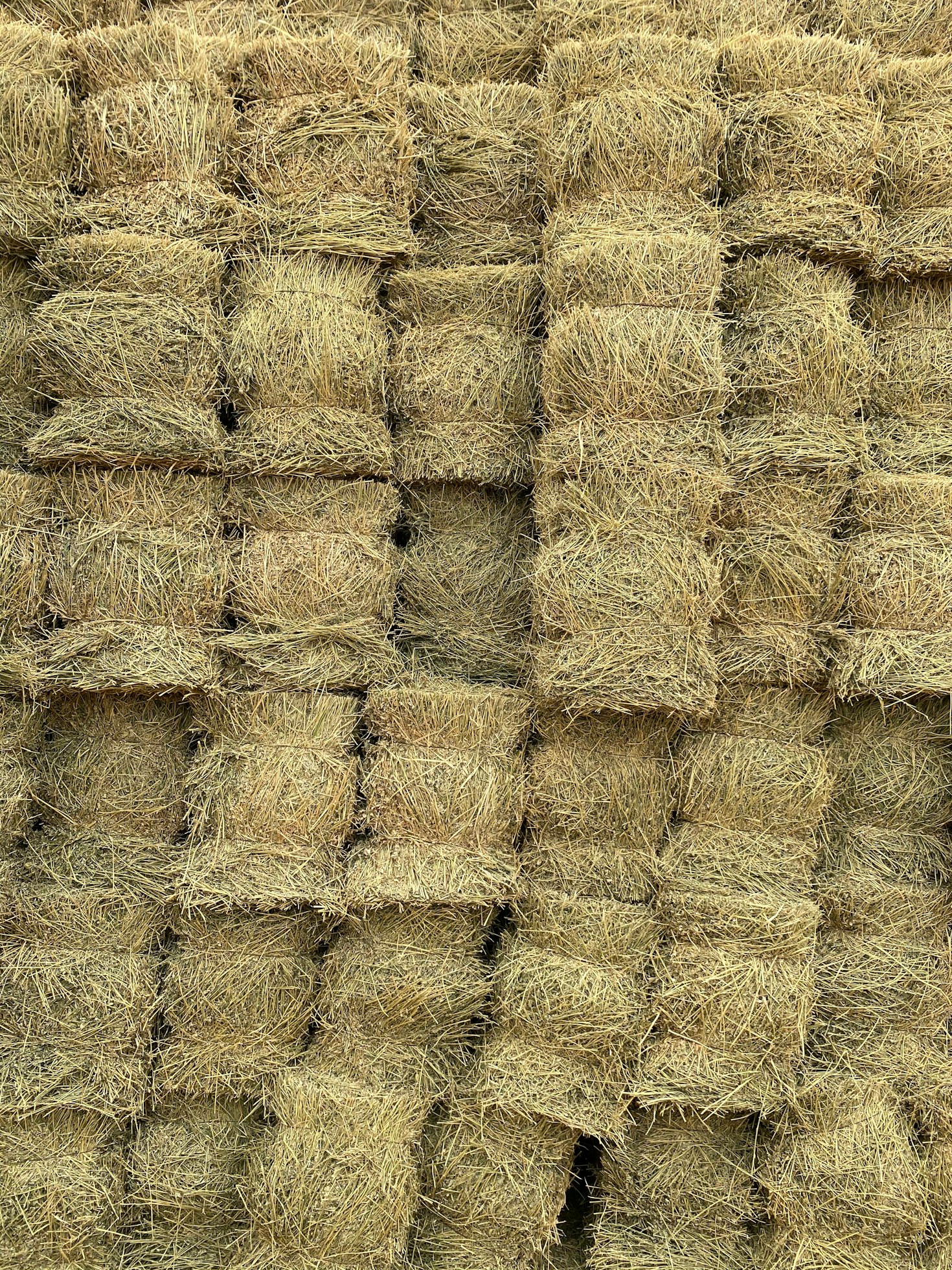 Regionale Produktion für umweltbewusstes Bauen