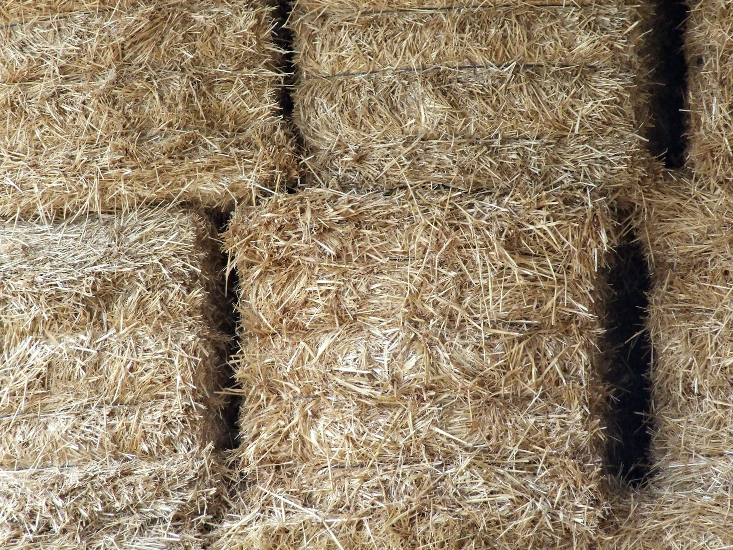Wie ISO-STROH Süd umweltfreundliches Bauen fördert